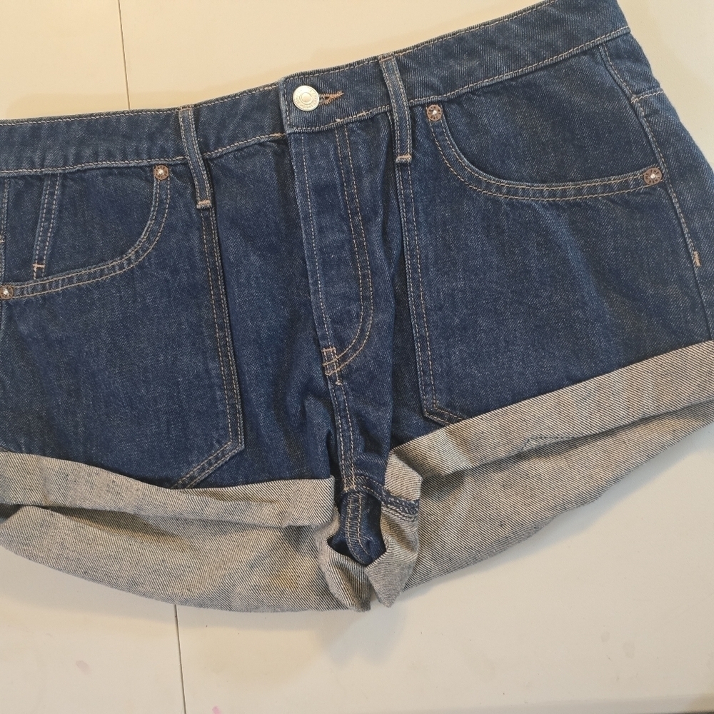 We The Free Blue Shorts